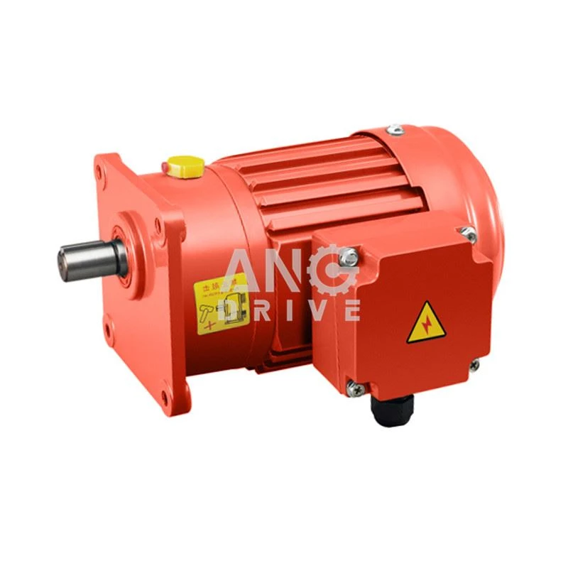 medium gear motor.jpg
