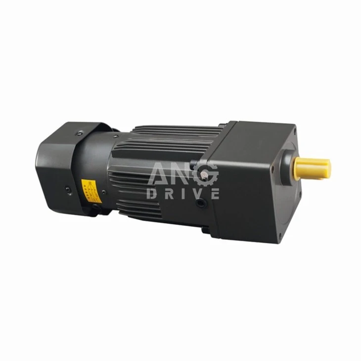 Hangzhou gearmotor