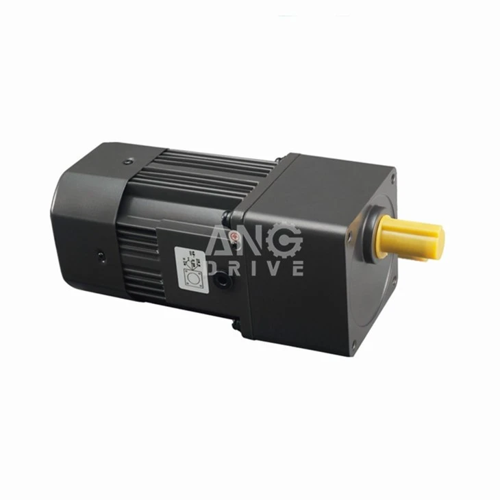 AC gear motor with fan