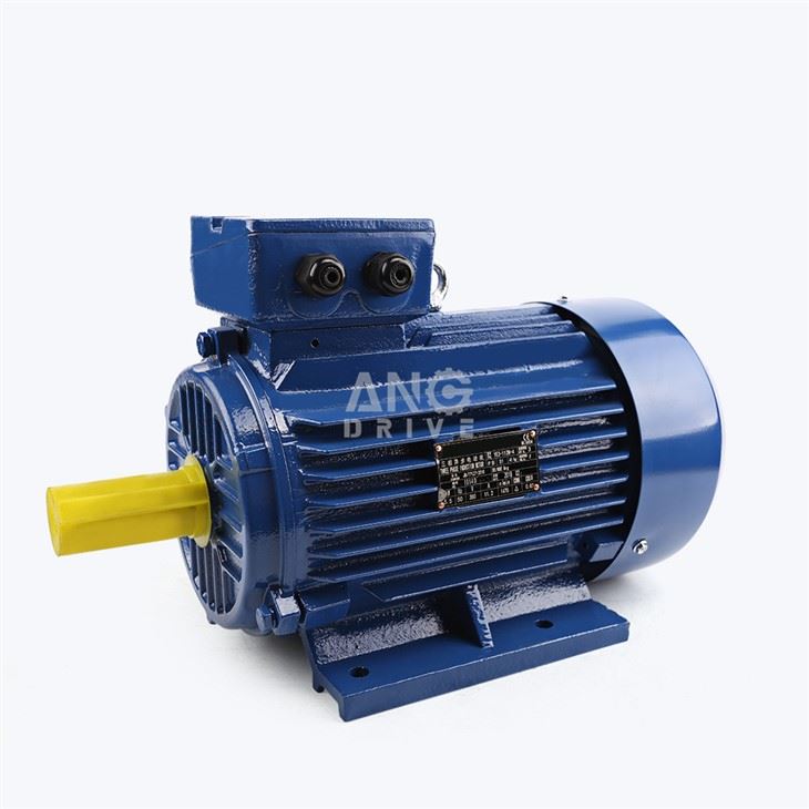 55kW Motor eléctrico