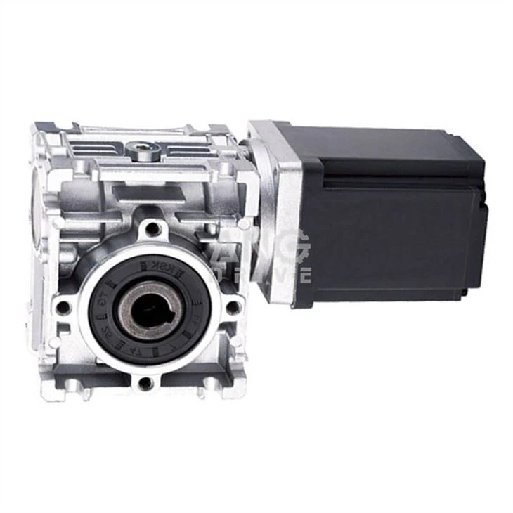 DC worm Angular Geared Motor