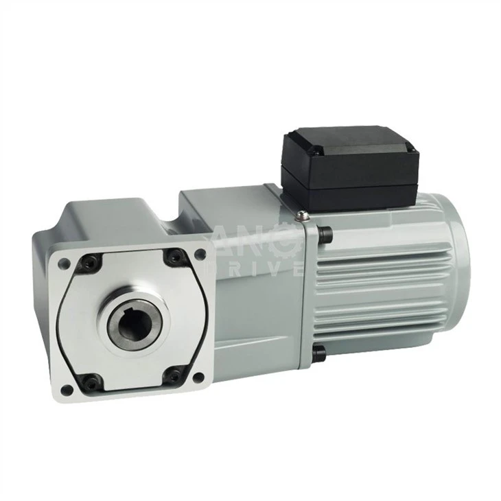 AC Angular Geared Motor