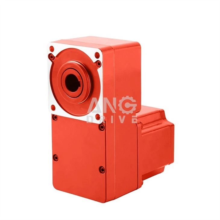 DC Flat Gear Motor