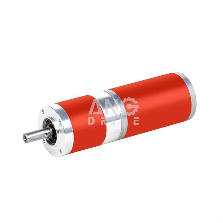 BLDC gear motor