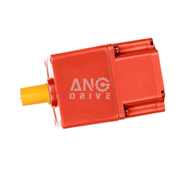 pm brushless gear motor