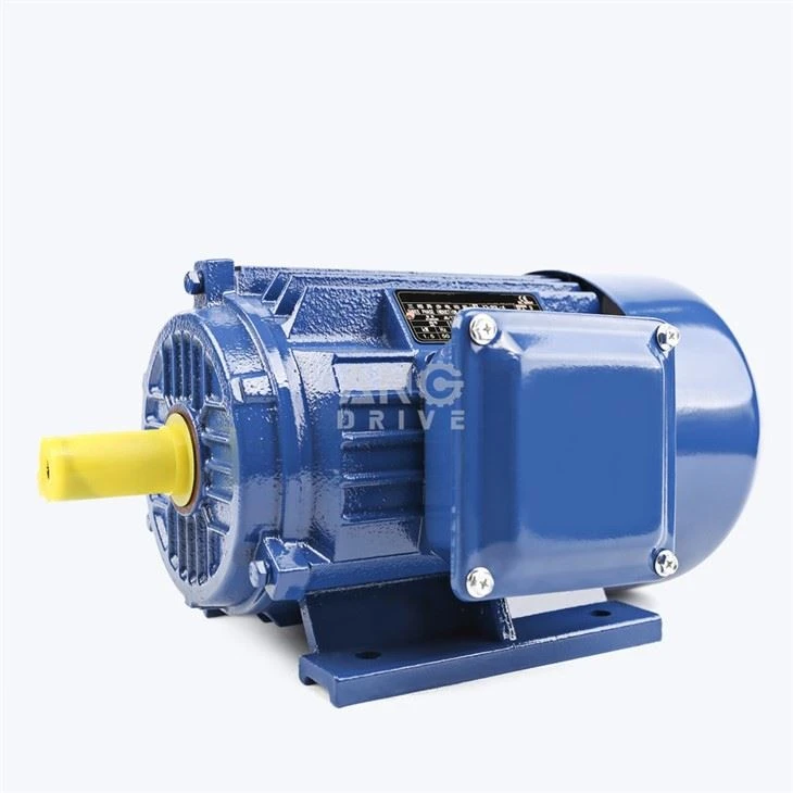 IEC Cast Iron Motor