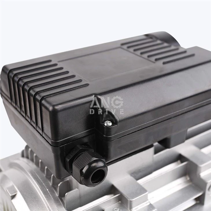 IEC Electric Motor