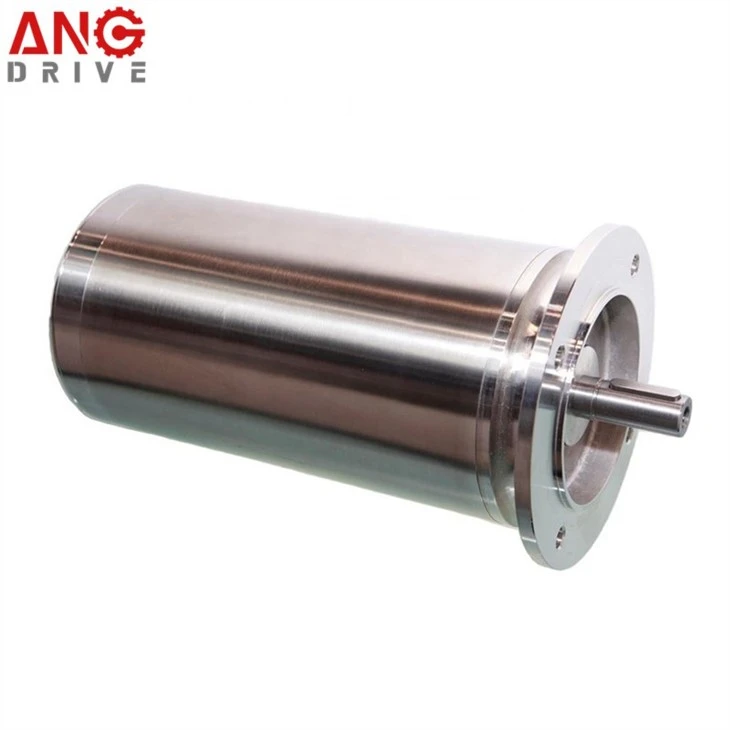 IEC Stainless Steel Motor