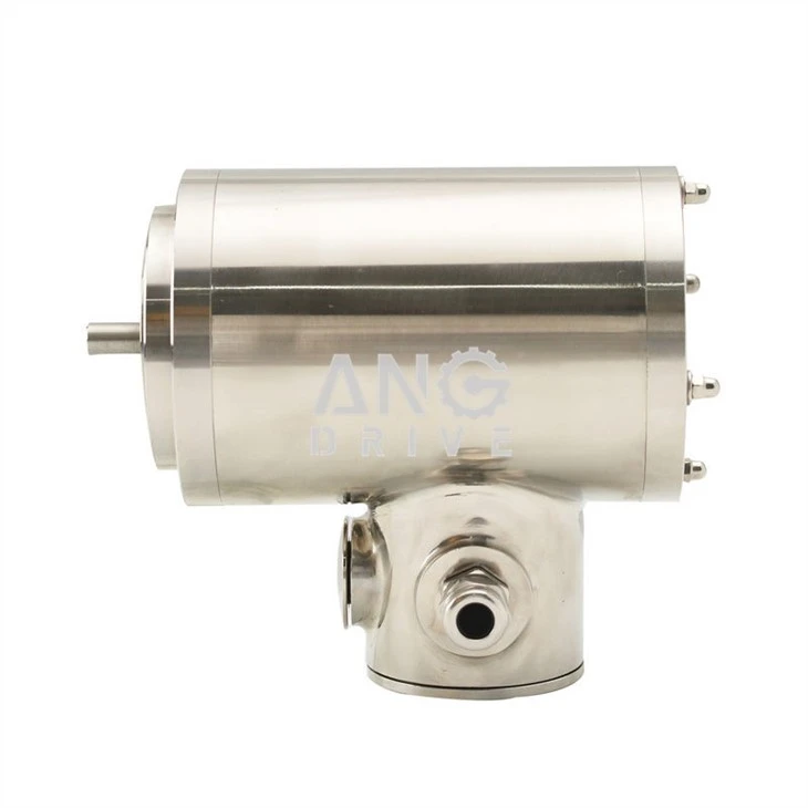 stainless steel 316 electric motor