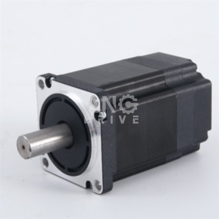 BLDC AC Motor
